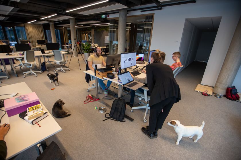 Kaune duris atvėrė „Hostinger“ biuras su dirbtinio intelekto liokajumi ir vitamino D lempomis