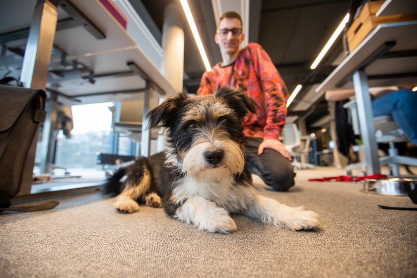 Kaune duris atvėrė „Hostinger“ biuras su dirbtinio intelekto liokajumi ir vitamino D lempomis